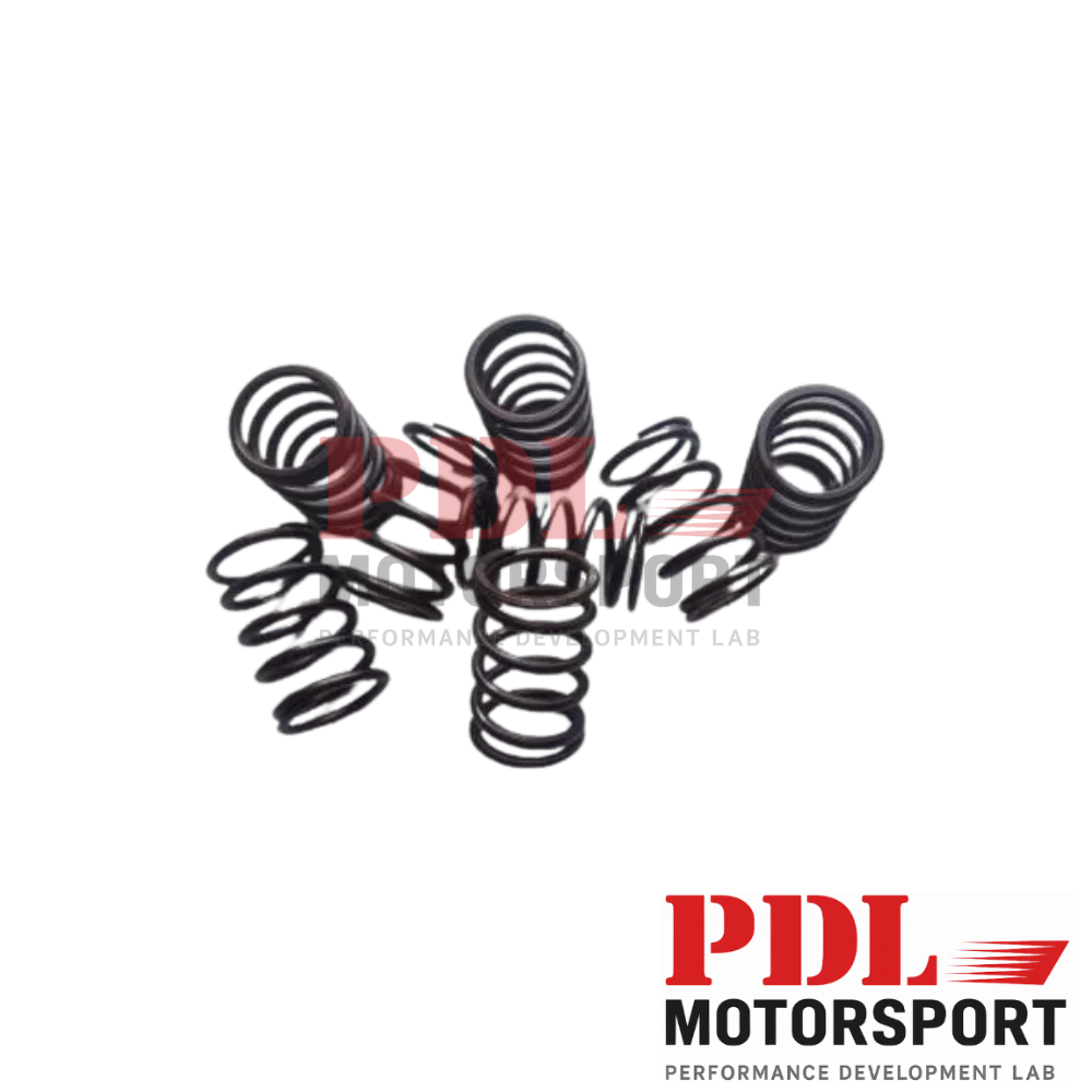 Jeu de ressorts de soupape DBILAS Performance pour VAG 1.9TDI / 2.0TDI 8V PD - PDL Motorsport